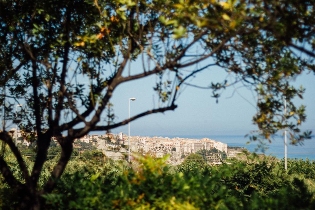 Villino Eleonora Bed & Breakfast Parghelia Dış mekan fotoğraf