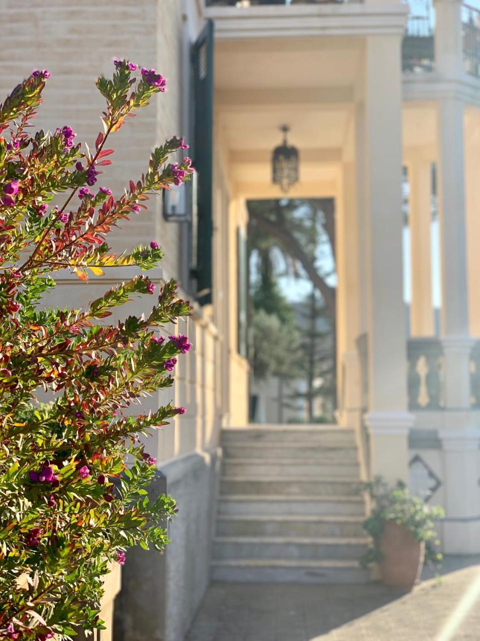 Villino Eleonora Bed & Breakfast Parghelia Dış mekan fotoğraf