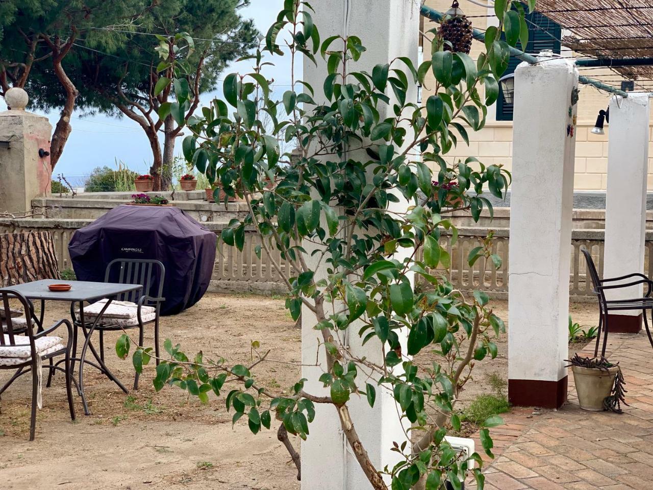 Villino Eleonora Bed & Breakfast Parghelia Dış mekan fotoğraf