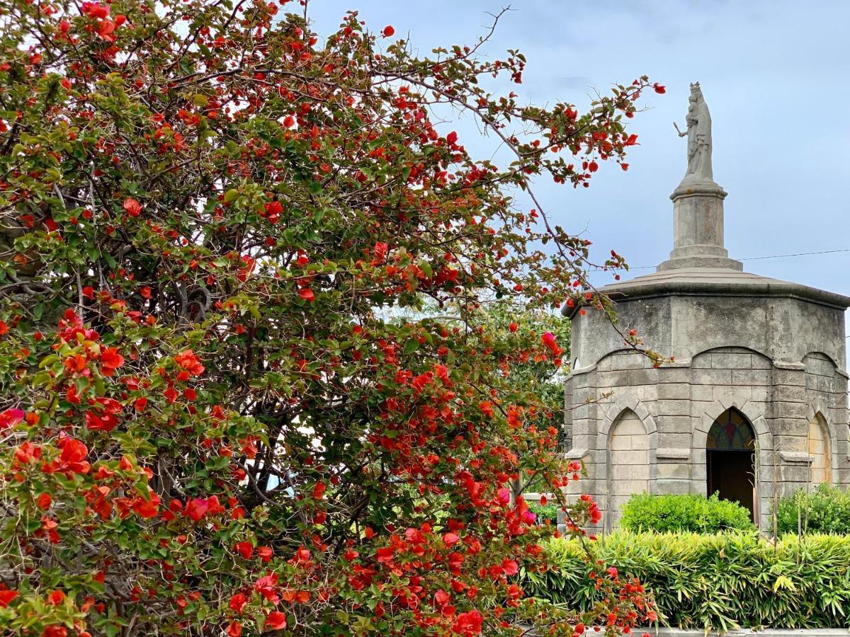 Villino Eleonora Bed & Breakfast Parghelia Dış mekan fotoğraf